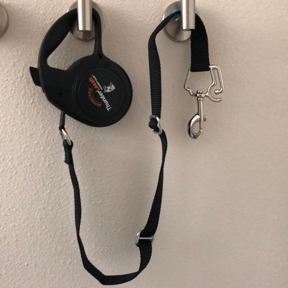 Retractable leash